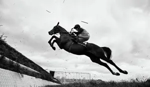 Racing Prints: Grand National Festival at Aintree