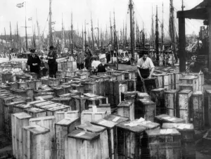 Grimsby docks 1945