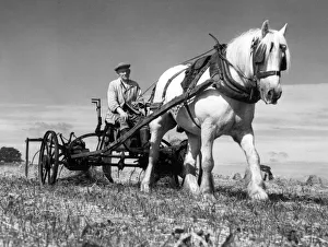 Hay harvest, Eccleshall