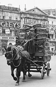 Images Dated 17th August 2018: A horse drawn cart in Piccadilly Circus, 1939