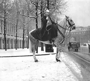 London Collection: Horse guard in the snow