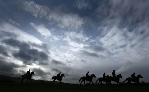 Horse Racing Prints: Horses on the early morning gallops at Cheltenham