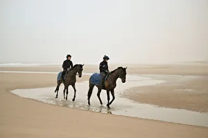 Horse Racing Prints: Horses from the James Owen Racing stables (Newmarket) ride out at dawn
