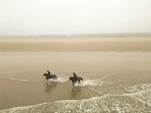 Horse Racing Prints: Two horses from the James Owen Racing stables (Newmarket) ride at Holkham beach in Norfolk in a pre-Cheltenham work-out