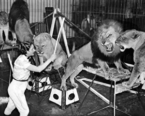 Images Dated 8th April 2022: Lion Tamer