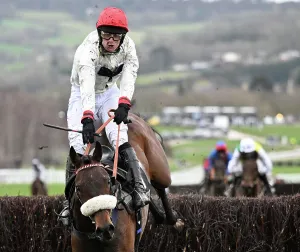 Horse Racing Prints: A mud spattered David Bass guides Chianti Classico to winning the Ultima Handicap chase Cheltenham Festival week