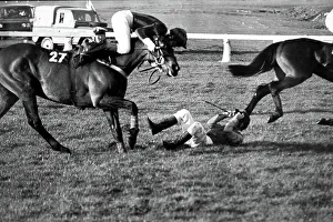 Royalty Prints: Prince Charles falling from a horse at Cheltenham, 1981