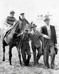Racing Prints: Racehorse St Paddy ridden by Lester Piggott being led into the winner's enclosure after winning the 1960 Epsom
