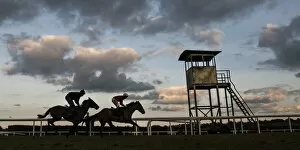 Horse Racing Collection: Racehorses on the gallops at Leopards Town