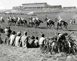 Horse Racing Collection: Spectators at Epsom race course, 1953