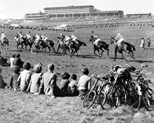 Horse Racing Prints: Spectators at Epsom race course, 1953