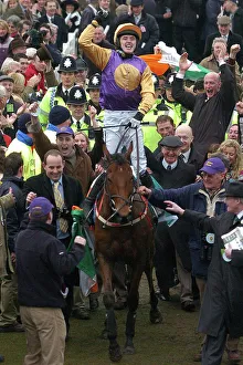Horse Racing Prints: Tony McCoy wins the Champion Hurdle on Brave Inca
