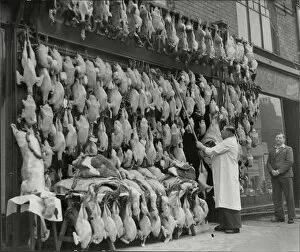 Images Dated 5th December 2018: Turkeys for Christmas, 1946